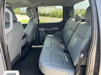 2024 Ford F-150 XL