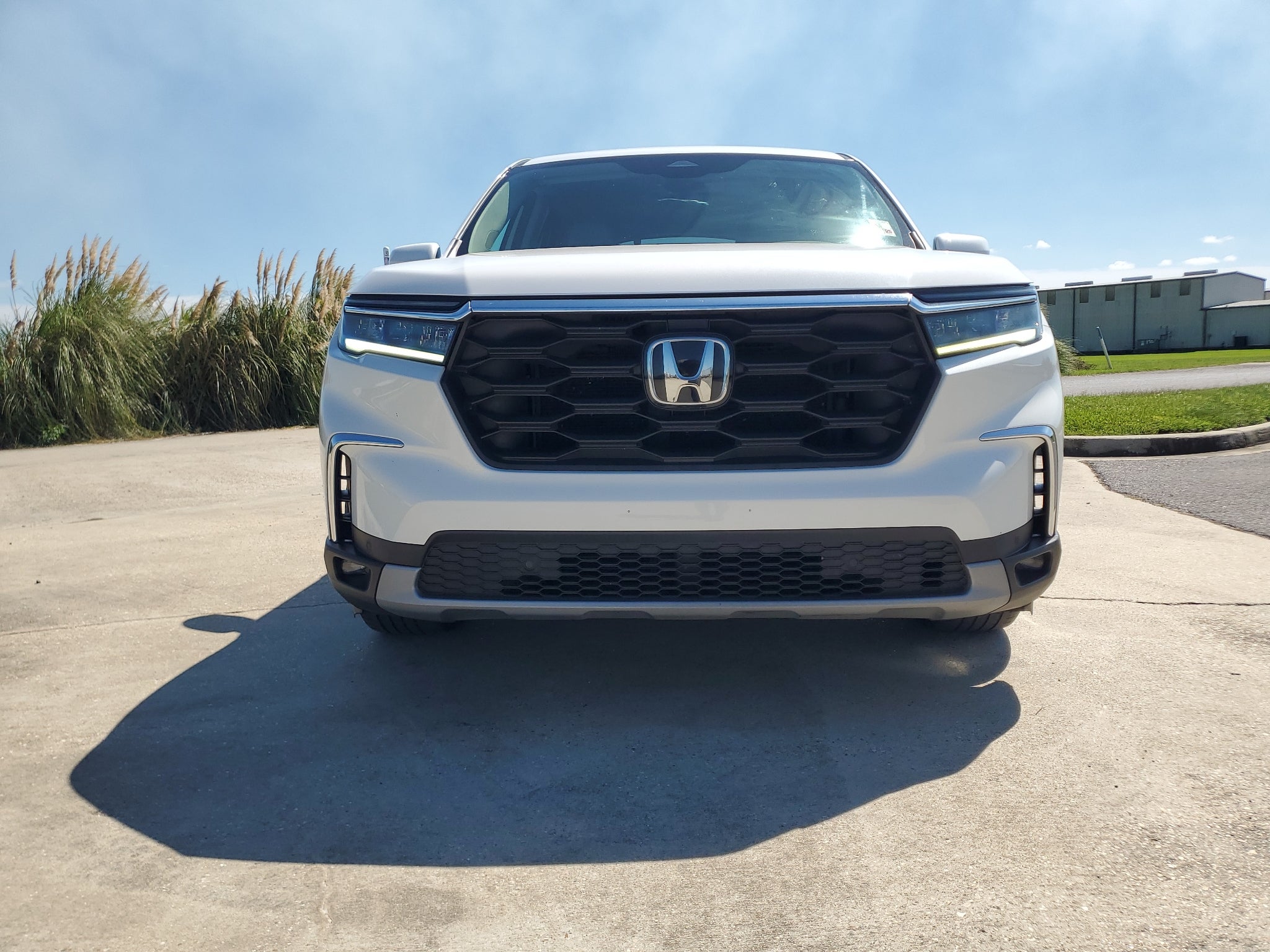 2024 Honda Pilot EX-L 8 Passenger